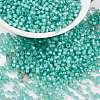 MIYUKI Round Rocailles Beads X-SEED-G008-RR0571-1