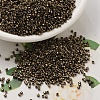 MIYUKI Delica Beads SEED-X0054-DB0022-1