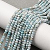 Natural Larimar Beads Strands G-F803-B01-01-1