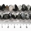 Natural Eagle Eye Stone Beads Strands G-N327-05-15-5