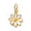 Brass Enamel Charms X-KK-L216-006G-01-1