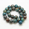 Natural Chrysocolla Beads Strands G-G099-F12mm-35-1