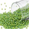 TOHO Round Seed Beads SEED-XTR11-0307-1
