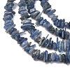 Natural Kyanite/Cyanite/Disthene Chip Beads Strands G-E271-78-3
