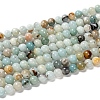Natural Flower Amazonite Beads Strands Z26N5018-1