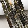 Natural Fuchsite Beads Strands G-D353-A18-1