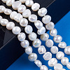 Natural Cultured Freshwater Pearl Beads Strands PEAR-N014-05H-6