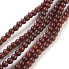 Synthetic Turquoise Beads Strands TURQ-G106-6mm-02J-1