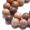 Natural Petrified Wood Round Beads Strands G-D356-C01-10mm-3
