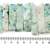 Natural Chrysocolla Beads Strands G-L551B-19-4