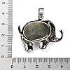 Natural Labradorite Pendants G-G112-01P-06-3