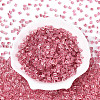 Transparent Inside Colours Glass Seed Beads SEED-T007-13F-1