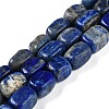 Natural Lapis Lazuli Beads Strands G-M403-D03-01-1