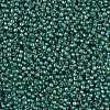 TOHO Round Seed Beads SEED-JPTR11-1833-2