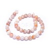 Natural Cherry Blossom Agate Beads Strands G-I249-B01-03-2