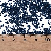 15/0 Transparent Czech Glass Seed Beads SEED-N004-004-10-6