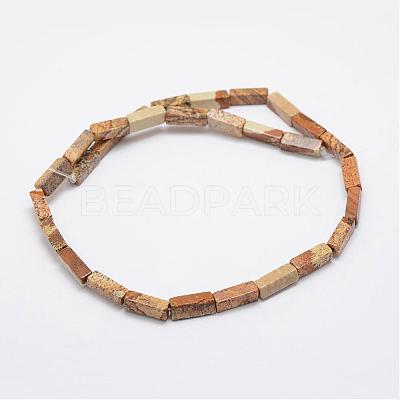 Natural Picture Jasper Beads Strands G-E342-04-1