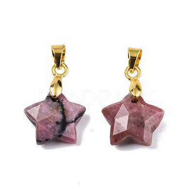 Natural Rhodonite Charms G-N326-142-05-1