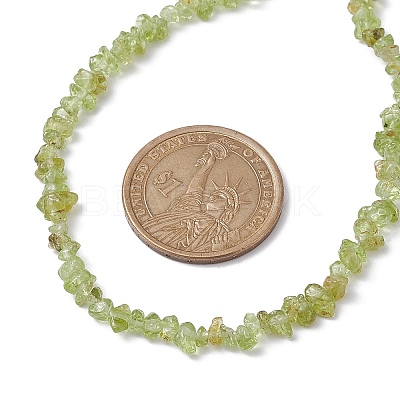 Natural Peridot Chip Beaded Necklace NJEW-JN04616-16-1