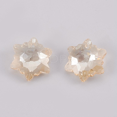 K9 Glass Rhinestone Pendants GLAA-F083-03A-1