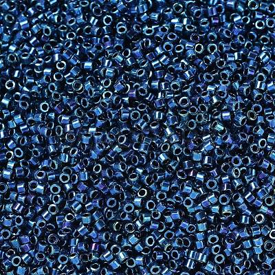 MIYUKI Delica Beads X-SEED-J020-DB1005-1