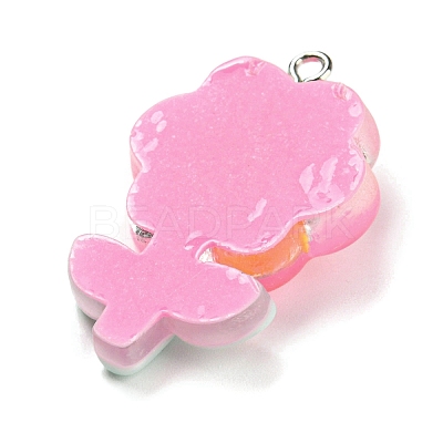 Translucent Resin Pendants RESI-G078-01H-1