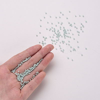 11/0 FGB Grade A Baking Paint Glass Seed Beads X-SEED-N001-A-1031-1