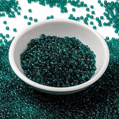 MIYUKI Round Rocailles Beads X-SEED-G008-RR2405-1