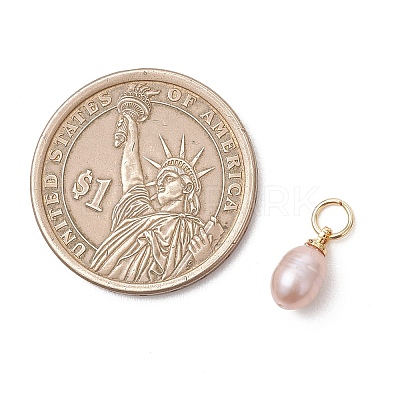 Natural Cultured Freshwater Pearl Pendants PALLOY-JF05172-01-1
