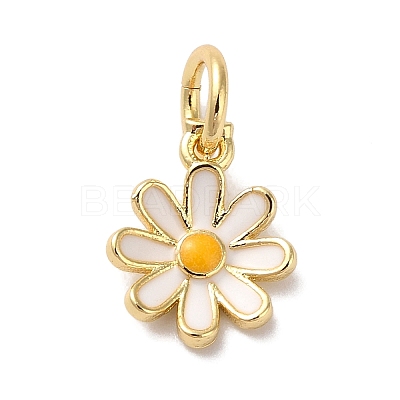 Brass Enamel Charms X-KK-L216-006G-01-1