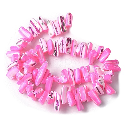 Dyed Natural Trochus Shell Beads Strands SSHEL-C013-09E-1