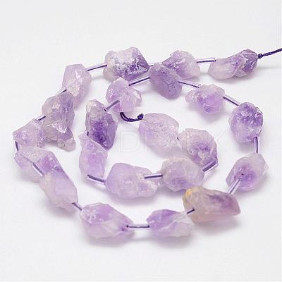 Natural Amethyst Bead Strands G-G937-M-03-1