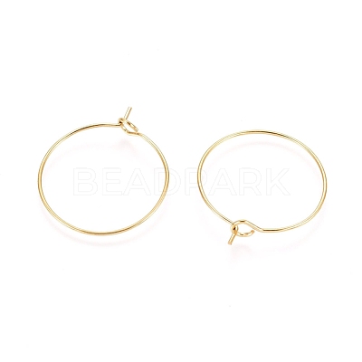 Ion Plating(IP) 316L Surgical Stainless Steel Hoop Earring Findings X-STAS-D164-05G-1