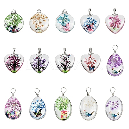 15Pcs 5 Styles Transparent Glass Pendants GLAA-YW0004-65-1