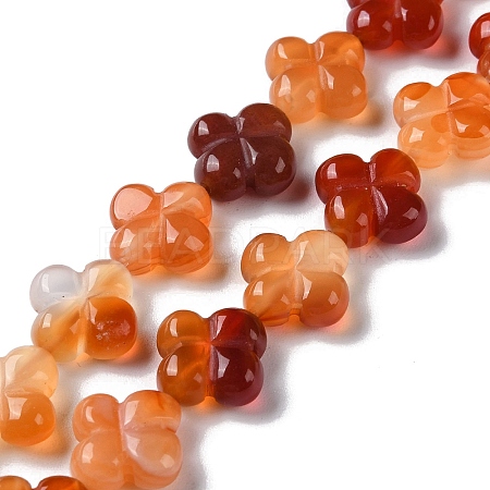 Natural Red Agate Beads Strands G-M418-D02-01-1