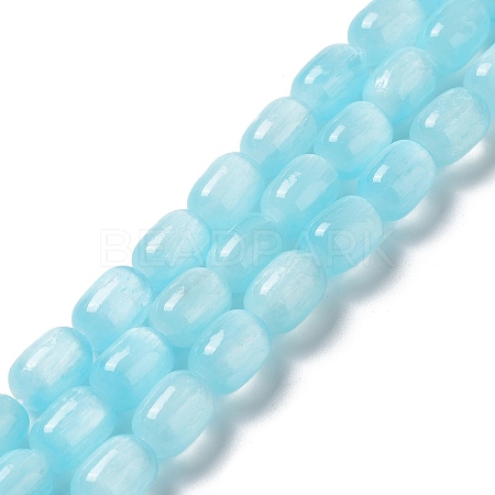 Natural Selenite Beads Strands G-F750-03-1
