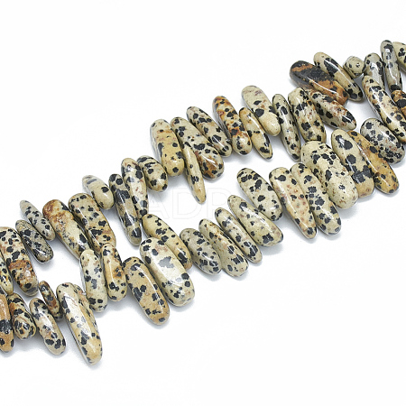 Natural Dalmatian Jasper Beads Strands G-S312-09-1
