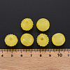 Imitation Jelly Acrylic Beads MACR-S373-11-E07-5