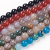 Natural Agate Beads Strands G-JP0001-09-10mm-1