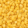FGB Baking Paint Glass Seed Beads SEED-Q040-09A-09-3