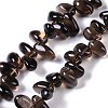 Natural Smoky Quartz Beads Strands G-B072-D01-02-2