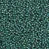 TOHO 11/0 Round Beads X-SEED-TR11-1833-2