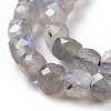 Natural Labradorite Beads Strands G-D0003-B10-3