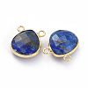 Natural Lapis Lazuli Charms G-L547-030E-2
