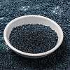 MIYUKI Round Rocailles Beads X-SEED-G009-RR0362-2