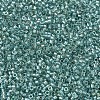 MIYUKI Delica Beads SEED-X0054-DB1767-3