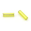 Glass Bugle Beads TSDB6mm24-2