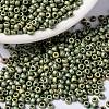 MIYUKI Round Rocailles Beads X-SEED-G008-RR2033-1