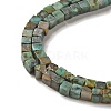 Natural African Turquoise(Jasper) Beads Strands G-B064-A13-4