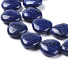 Natural Lapis Lazuli Heart Bead Strands X-G-M264-01-3
